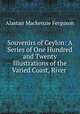 Souvenirs of Ceylon: A Series of One Hundred and Twenty Illustrations of the Varied Coast, River ., Alastair Mackenzie Ferguson 