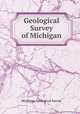 Geological Survey of Michigan, Michigan Geological Survey 