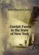 . Guelph Fauna in the State of New York, Clarke, John Mason, 1857-1925 