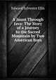 A Jaunt Through Java: The Story of a Journey to the Sacred Mountain by Two American Boys, Edward Sylvester Ellis 