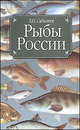Рыбы России. Жизнь и ловля уженье наших пресноводных рыб, Леонид Сабанеев 