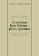 Picturesque New Orleans : photo-gravures, Wittemann, A. (Adolph), 1845-1938 