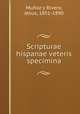 Scripturae hispanae veteris specimina, J. Munoz y Rivero 