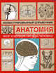 Анатомия. Иллюстрированный справочник. Мозг и нервная система человека, Борисова И. А. 