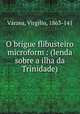 O brigue flibusteiro microform : (lenda sobre a ilha da Trinidade), Virgilio Varzea 
