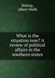 What is the situation now? A review of political affairs in the southern states, Bishop, Albert Webb 