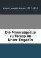 Die Mineralquelle zu Tarasp im Unter-Engadin, Kaiser, Joseph Anton, 1792-1853 