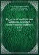 Figures of molluscous animals, selected from various authors. v 15, Gray, Maria Emma (Smith), Mrs., 1787-1876,Gray, John Edward, 1800-1875 