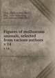 Figures of molluscous animals, selected from various authors. v 14, Gray, Maria Emma (Smith), Mrs., 1787-1876,Gray, John Edward, 1800-1875 