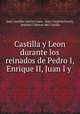 Castilla y Leon durante los reinados de Pedro I, Enrique II, Juan I y ., Juan Catalina Garcia Lopez 