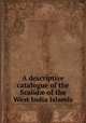 A descriptive catalogue of the Scalid? of the West India Islands, Otto Andreas Lowson Morch 