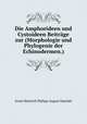 Die Amphorideen und Cystoideen Beitrage zur (Morphologie und Phylogenie der Echinodermen.), Haeckel Ernst Heinrich 