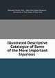 Illustrated Descriptive Catalogue of Some of the More Important Injurious ., Ephraim Porter Felt , New York State Museum , University of the State of New York 