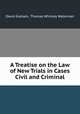 A Treatise on the Law of New Trials in Cases Civil and Criminal, David Graham, Thomas Whitney Waterman 