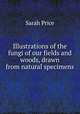 Illustrations of the fungi of our fields and woods, drawn from natural specimens, Sarah Price 