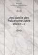 Anatomie des Palaeopneustes niasicus, Wagner, Johannes Maximilian, 1872- 