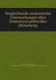 Vergleichende anatomische Untersuchungen uber Zoobotryon pellucidus (Ehrenberg), Reichert, Karl Bogislavs, 1811-1883,Deutsche Akademie der Wissenschaften zu Berlin 