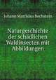 Naturgeschichte der schadlichen Waldinsecten mit Abbildungen, Johann Matthaus Bechstein 
