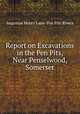 Report on Excavations in the Pen Pits, Near Penselwood, Somerset, Augustus Henry Lane -Fox Pitt-Rivers 