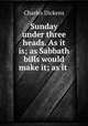 Sunday under three heads. As it is; as Sabbath bills would make it; as it ., Чарльз Диккенс 