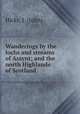 Wanderings by the lochs and streams of Assynt; and the north Highlands of Scotland, Hicks, J. (John) 