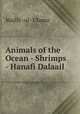 Animals of the Ocean - Shrimps - Hanafi Dalaail, Majlis -ul- Ulama 