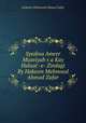 Syedina Ameer Muaviyah r.a Kay Halaat -e- Zindagi By Hakeem Mehmood Ahmad Zafar, Hakeem Mehmood Ahmad Zafar 