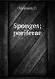 Sponges; poriferae, C. Maynard 