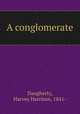 A conglomerate, Daugherty, Harvey Harrison, 1841- 
