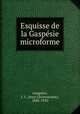 Esquisse de la Gaspesie microforme, Langelier, J. C. (Jean Chrysostome), 1845-1910 