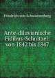 Ante-diluvianische Fidibus-Schnitzel: von 1842 bis 1847, Friedrich von Schwarzenberg 