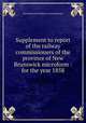 Supplement to report of the railway commissioners of the province of New Brunswick microform : for the year 1858, New Brunswick. Railway Commissioners 
