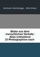 Bilder aus dem menschlichen Vorhofe: Atlas enthaltend 25 Photographien nach ., Hermann Steinbrugge 