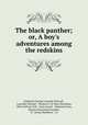 The black panther; or, A boy