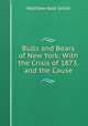 Bulls and Bears of New York: With the Crisis of 1873, and the Cause, Matthew Hale Smith 