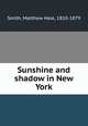 Sunshine and shadow in New York, Smith, Matthew Hale, 1810-1879 