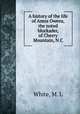 A history of the life of Amos Owens, the noted blockader, of Cherry Mountain, N.C, White, M. L 