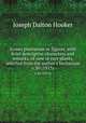 Icones plantarum or figures, with brief descriptive characters and remarks, of new or rare plants, selected from the author`s herbarium.. v.30 (1913), Hooker Joseph Dalton 