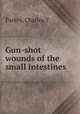 Gun-shot wounds of the small intestines, Parkes, Charles T. 