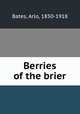Berries of the brier, Bates, Arlo, 1850-1918 