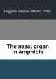 The nasal organ in Amphibia, Higgins, George Marsh, 1890- 