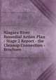 Niagara River Remedial Action Plan / Stage 2 Report - the Cleanup Connection - Brochure, Ontario Ministry of Environment and Energy: West Central Region 
