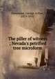 The piller of witness ; Nevada