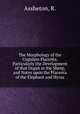 The Morphology of the Ungulate Placenta, Particularly the Development of that Organ in the Sheep, and Notes upon the Placenta of the Elephant and Hyrax, Assheton, R. 