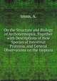 On the Structure and Biology of Archotermopsis, Together with Descriptions of New Species of Intestinal Protozoa, and General Observations on the Isoptera, Imms, A. 