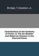 Contributions to the Anatomy of Fishes. II. The Air-Bladder and Weberian Ossicles in the Siluroid Fishes, Bridge, T.,Haddon, A. 