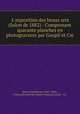 L`exposition des beaux arts (Salon de 1882) : Comprenant quarante planches en photogravures par Goupil et Cie, 