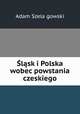 lsk i Polska wobec powstania czeskiego, 