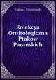 Kolekcya Ornitologiczna Ptakow Paranskich, Tadeusz_Chrostowski 