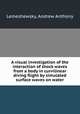 A visual investigation of the interaction of shock waves from a body in curvilinear diving flight by simulated surface waves on water., Lemeshewsky, Andrew Anthony 